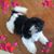 Christina Blair's profile image