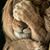 Omo Oshun's profile image