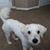 Jamie Taylor Kelley's profile image