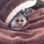 Kristen Guay Goulet's profile image