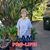 Patricia Ann Benoit Acuff's profile image