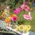 Judy Pugatch's profile image