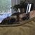 Lisa Westgate Baker's profile image