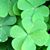 Patti Beilstein Lewis's profile image