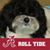 Sunny Collard's profile image