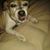 Jenny Morris Wood's profile image