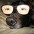 Bruce Vieau's profile image