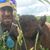 Daniel Robbe's profile image