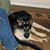 Laurie Stein's profile image