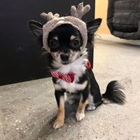 Samantha Almeida's profile image
