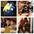 Maite Y Babo's profile image