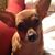 Debbie Stokes's profile image