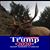 Davin Olson's profile image