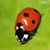 Linda Lee Elliott Hoover's profile image