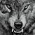 Faith M Wenglikowski's profile image