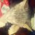 Mary Van Parys-Niven's profile image