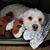 Joyce Tews's profile image