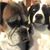 Kelly Melin's profile image