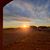 Tracey Schen's profile image
