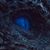 Hans McMurdy's profile image