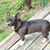 Debbie Beehler Stapleton's profile image