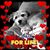 Debbie Bauer's profile image