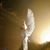 Pamela Smith's profile image