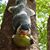 Lorena Quirici's profile image