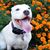 Kami Degolyer-Sheehy's profile image
