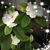 Sharon Murray's profile image