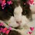 Kay Kim's profile image