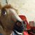 Cody Adams's profile image