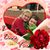 Jenni Lewis-Kirker Nehus's profile image