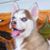 Leslie Whitehead's profile image