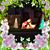 Kathy M Kelly Cooper's profile image