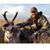 Jonathon Hardy's profile image