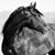 Jenn La Mana's profile image