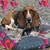 Janet Jack Bixler's profile image