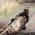 Wilma Dyer's profile image