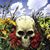 John Sepanic's profile image