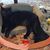 Kathi Katz King's profile image