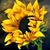 Beverly Ingram's profile image