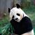 Marilynn Tyler's profile image