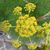 Laura Scott's profile image