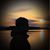 Paula Whitley's profile image