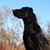 Michael Knutson's profile image