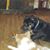 Tim Frease's profile image