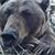 Daniel Sniadajewski's profile image