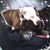 Janet Fossum-Breiden's profile image