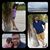 Beverly Boudreau Hludik's profile image
